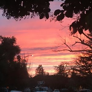 Meet your Posher, Ava